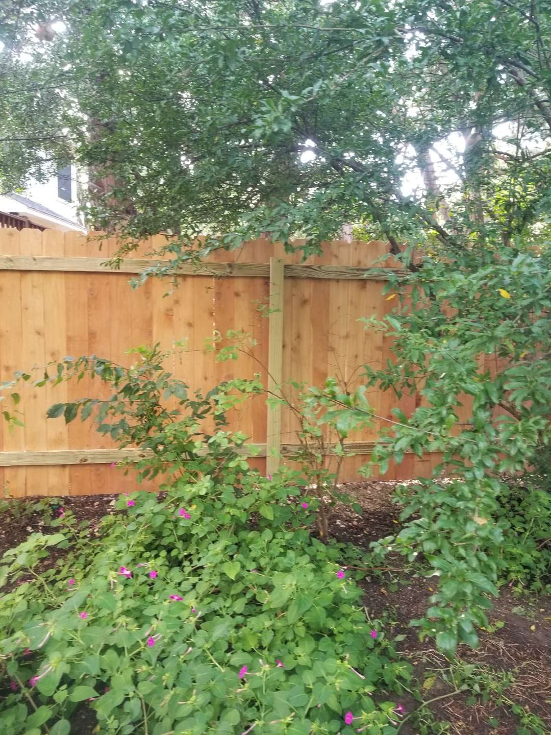 Image Gallery Austin Home and Yard